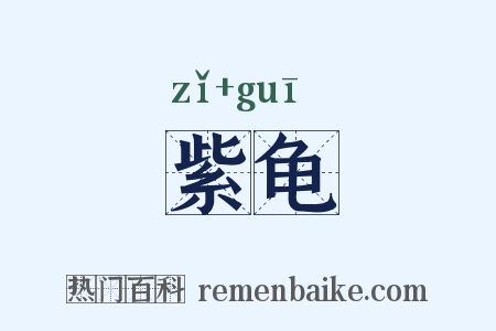 紫龟是什么意思的图片